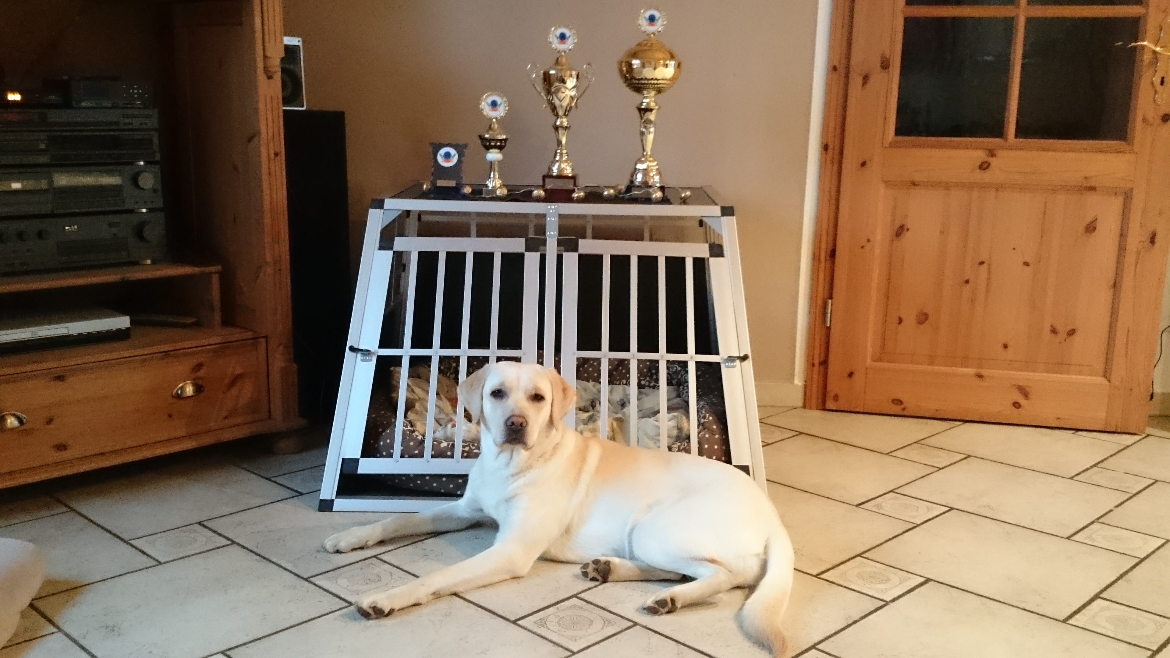  Polly nach dem Erfolg