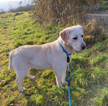 Miru, 18 Monate alt.