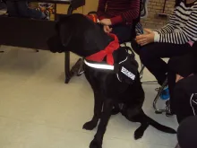 Yaro im Klassenzimmer