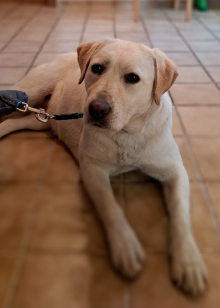 Miru, 18 Monate alt.